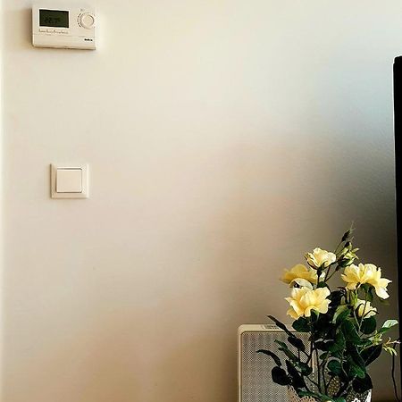 Near Lake Two Bedroom Fully Furnished Apartment Wien Eksteriør billede